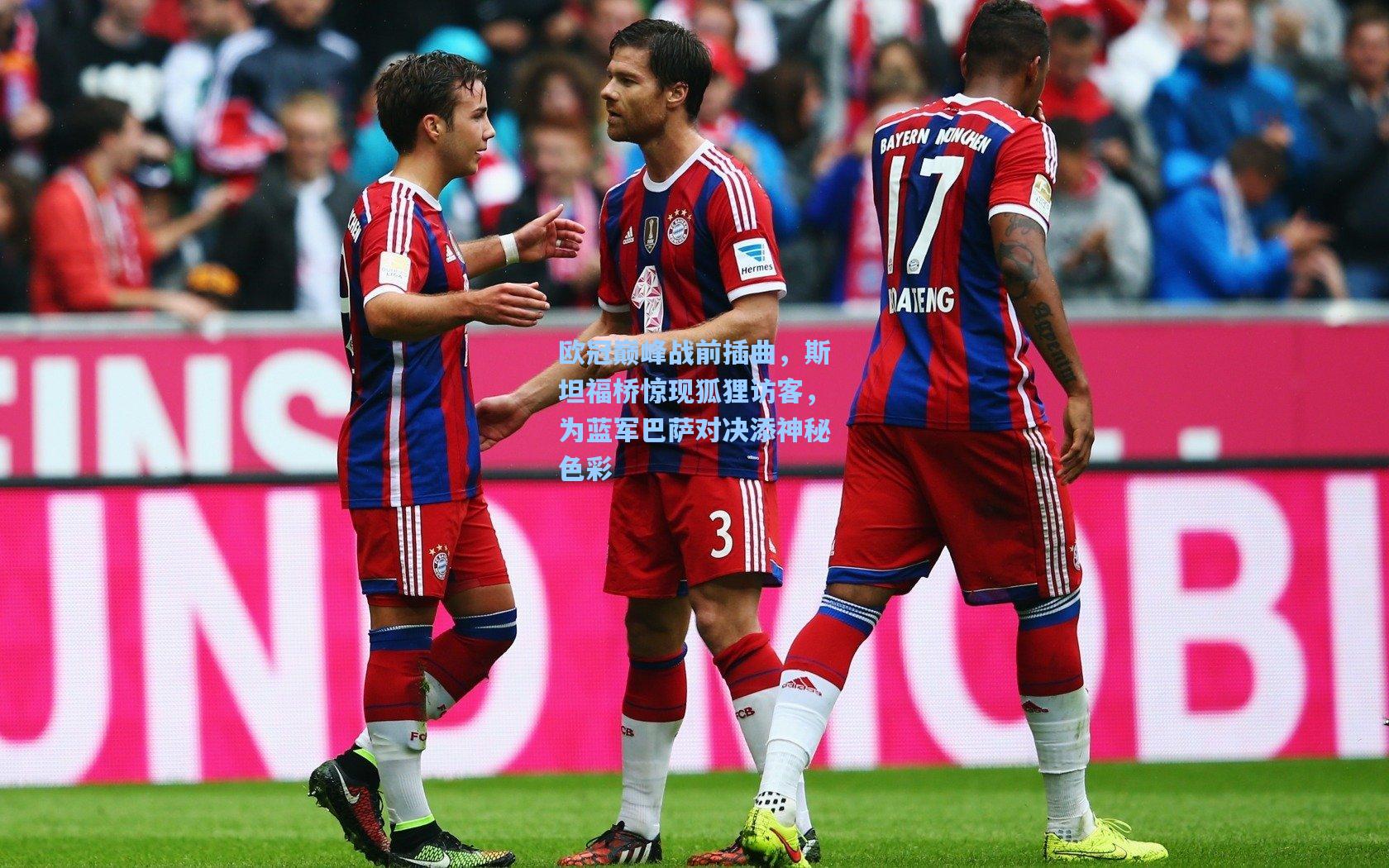 欧冠巅峰战前插曲,斯坦福桥惊现狐狸访客,为蓝军巴萨对决添神秘色彩